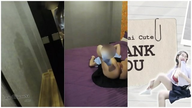 XXX ไทย นักเรียนสาวรับงานเสียว หนังโป๊แนว Amateur POV กระแทกรูหีเน้นๆ - หนังโป๊ไทย | คลิปโป๊มาแรง.com